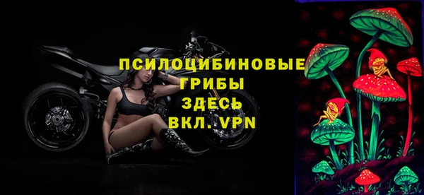 спайс Карпинск