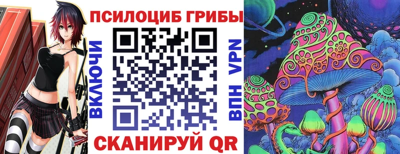 Галлюциногенные грибы Magic Shrooms  Купить  Дальнегорск 