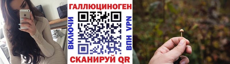 Псилоцибиновые грибы MAGIC MUSHROOMS Дальнегорск