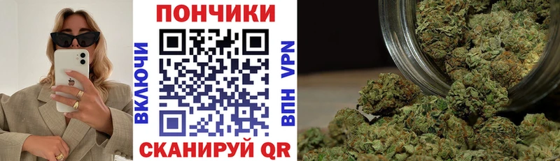 Шишки марихуана гибрид  Купить где  Дальнегорск 